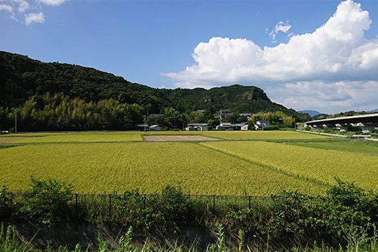 生産農家と繋いでいきます。