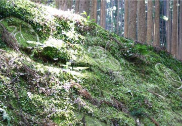 熊野古道